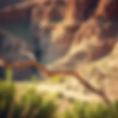 Magnificent Exploring Wadi Al-Shawka: A Nexus of Nature and Investment Opportunities Magnificent Exploring Wadi Al-Shawka: A Nexus of Nature and Investment Opportunities