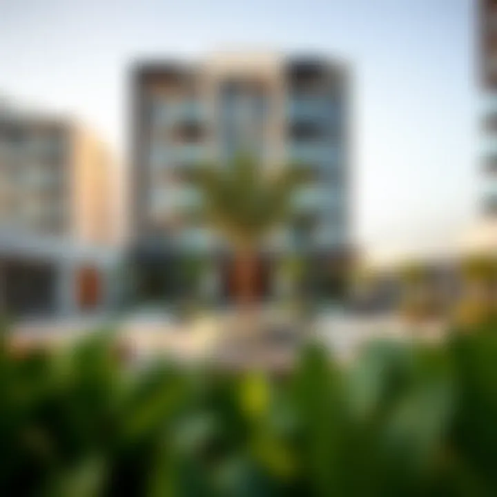 Vibrant community spaces at Adagio the Palm, promoting social interaction and leisure