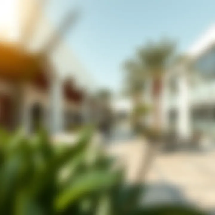Vibrant community spaces in Al Khawaneej promoting social interactions