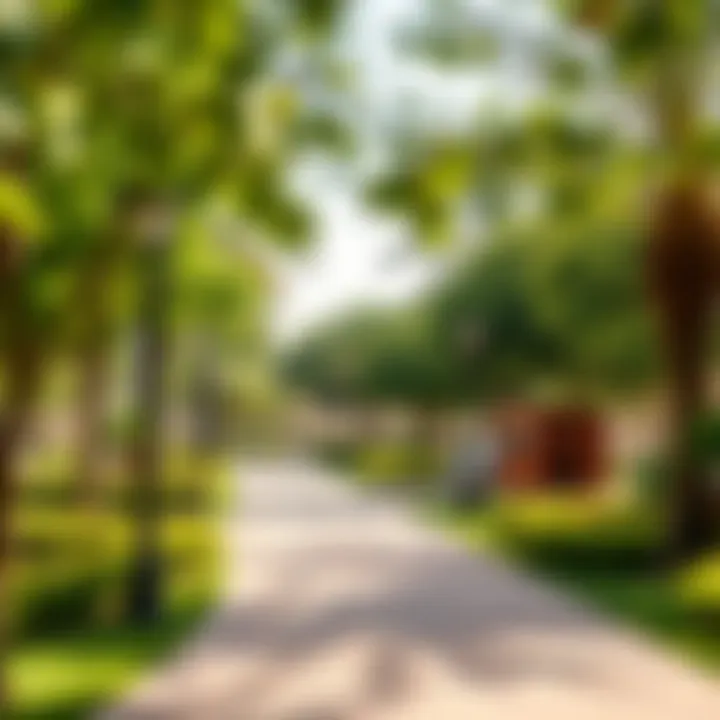 A vibrant community park in Emaar South with lush greenery