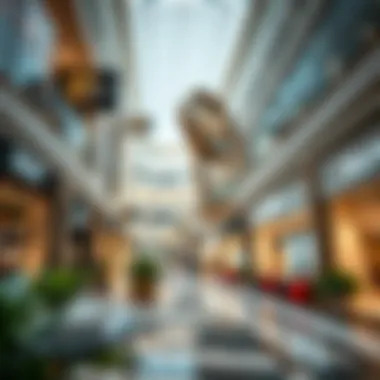 Luxurious shopping experience at Dubai Mall showcasing high-end brands