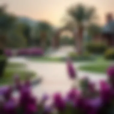Beautifully landscaped park in Damac Hills 3