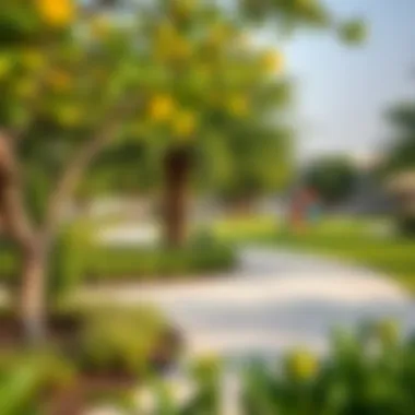 Community Park in Al Barsha Vibrant community park in Al Barsha filled with greenery and recreational activities