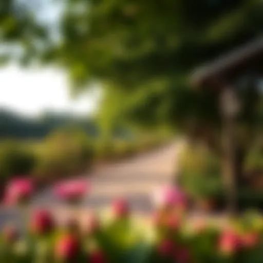 Lush greenery of Al Jaddah Park