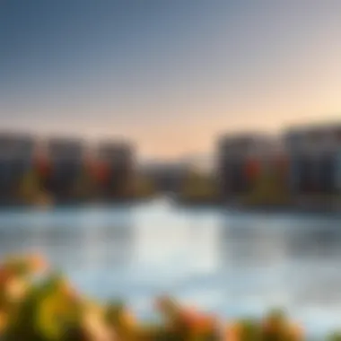 Residential Units around Damac Lagoon Luxurious residential units surrounding the lagoon with modern architectural design
