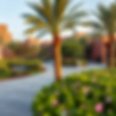 A vibrant community park in Al Barsha filled with greenery