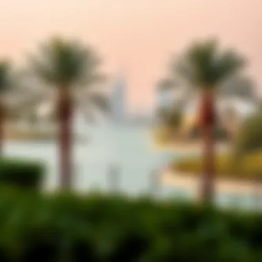 Serene Lagoon Views in MBR City Scenic views of the crystal lagoon surrounded by lush greenery