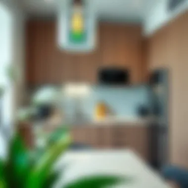 Contemporary Kitchen in One-Bedroom Unit Stylish kitchen space in a one-bedroom apartment with contemporary fixtures