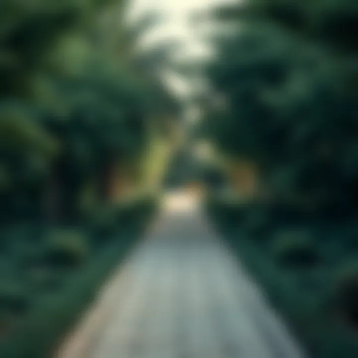 Peaceful garden pathway in a Dubai park