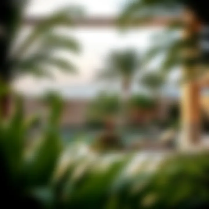 Outdoor space of a villa in Al Barsha featuring lush gardens