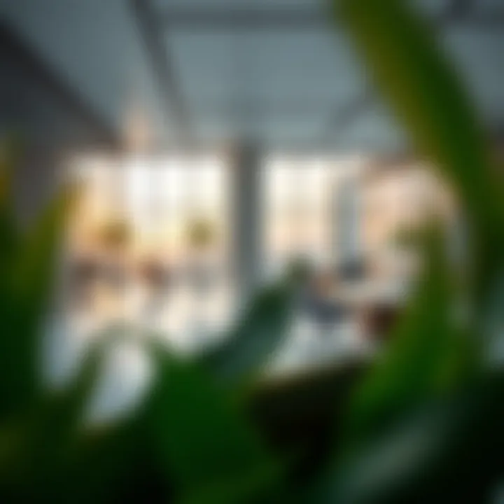 Innovative tech offices in Silicon Oasis reflecting modern design