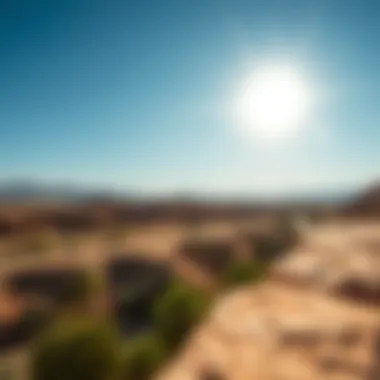 Exploring Wadi Al-Shawka: A Nexus of Nature and Investment Opportunities Summary Exploring Wadi Al-Shawka: A Nexus of Nature and Investment Opportunities Summary