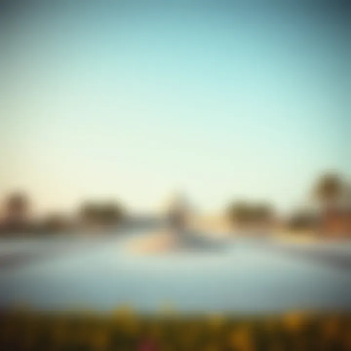 Notable Exploring Wahat Alkarama: Insights into Dubai's Memorial Landscape