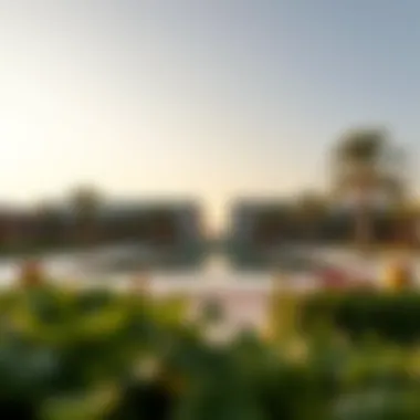 Exploring Wahat Alkarama: Insights into Dubai's Memorial Landscape Summary