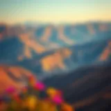 Breathtaking Landscape of Hatta Mountains Scenic view of Hatta mountains with vibrant flora