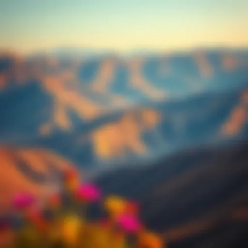 Breathtaking Landscape of Hatta Mountains Scenic view of Hatta mountains with vibrant flora