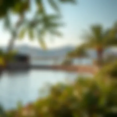 Ecological initiatives around Khalid Lake promoting environmental sustainability