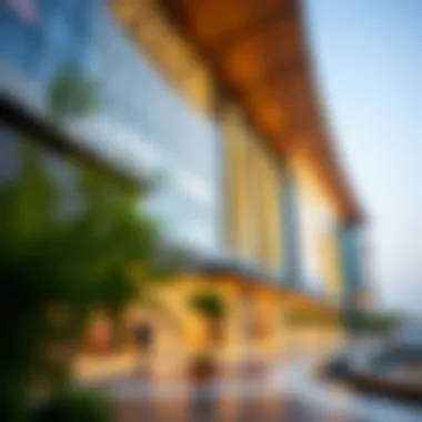 Lumiere Makani Mall: A Comprehensive Overview Summary