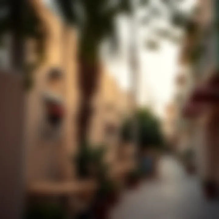 Neighborhood view of Muwaileh