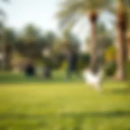 A serene park setting with dogs playing and owners relaxing