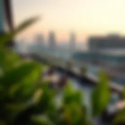 Panoramic view of the Rooftop Garden Lounge showcasing its lush greenery and urban backdrop